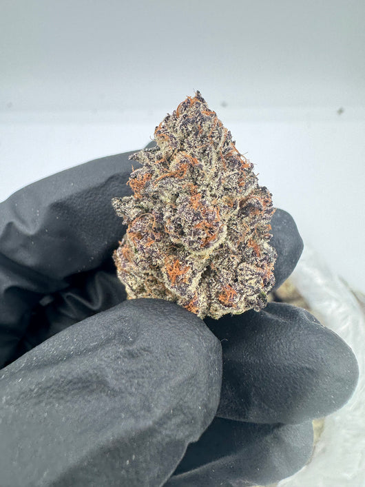 PURPLE CREME THCA FLOWER